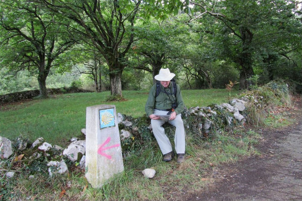 Camino de Santiago